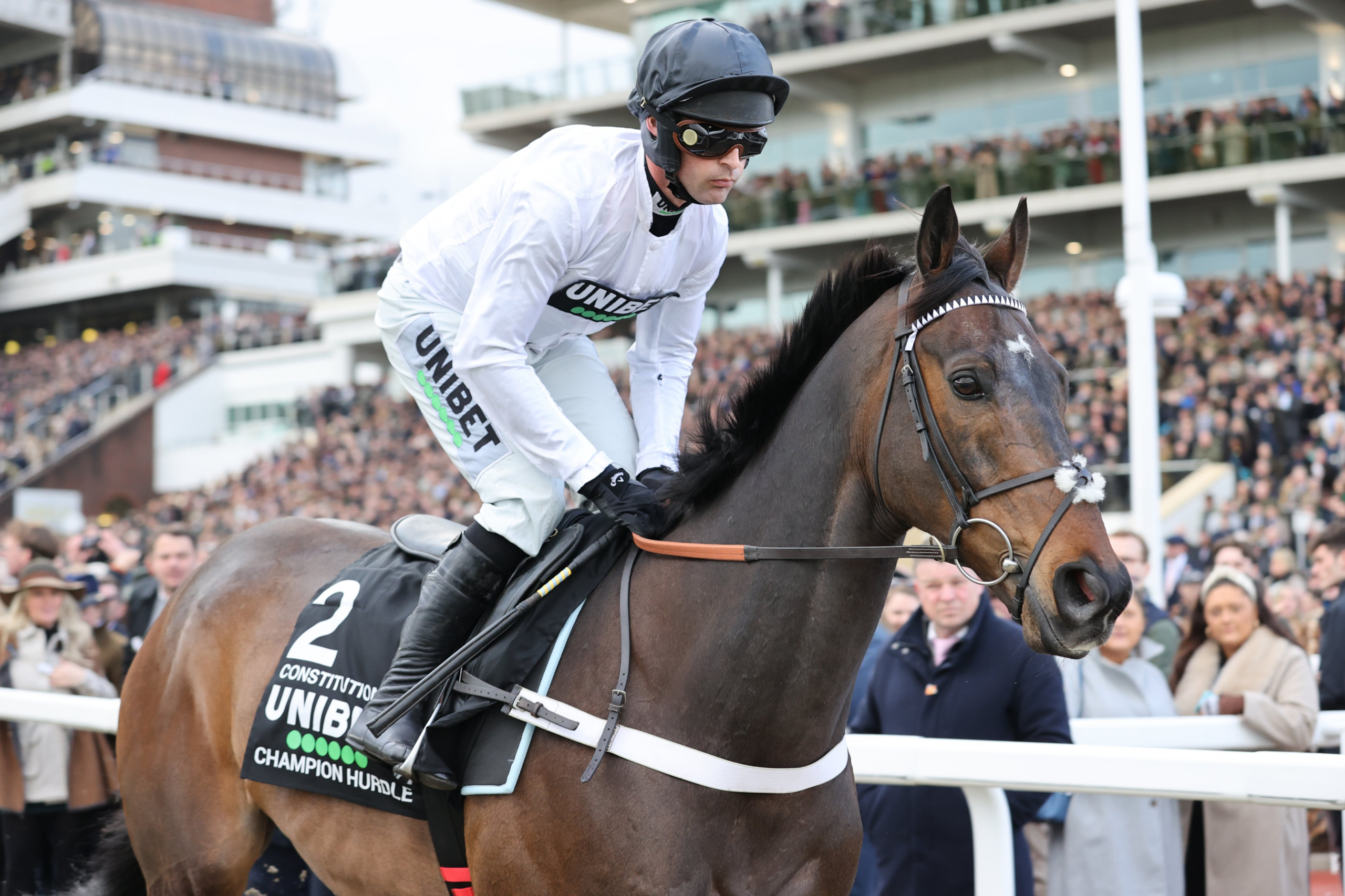 Constitution Hill has endured a disastrous 2025 year.